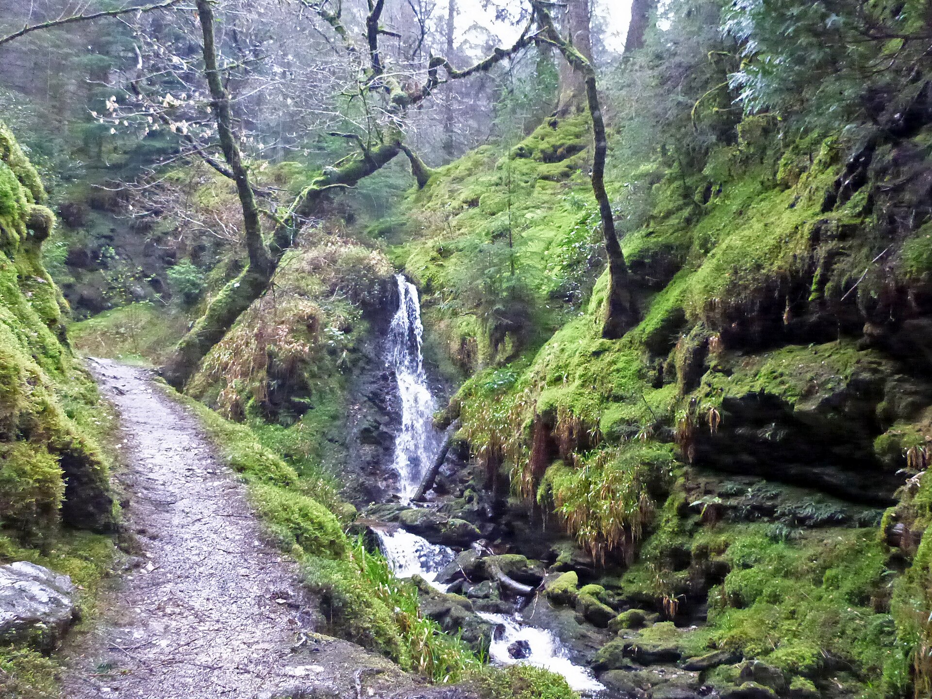 A path and waterfall in the wooded gorge of Puck's Glen
